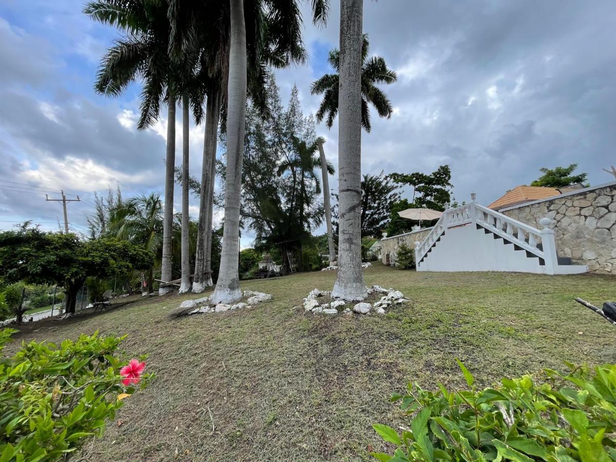 The Lodge @ Peaceful Palms Montego Bay Kültér fotó